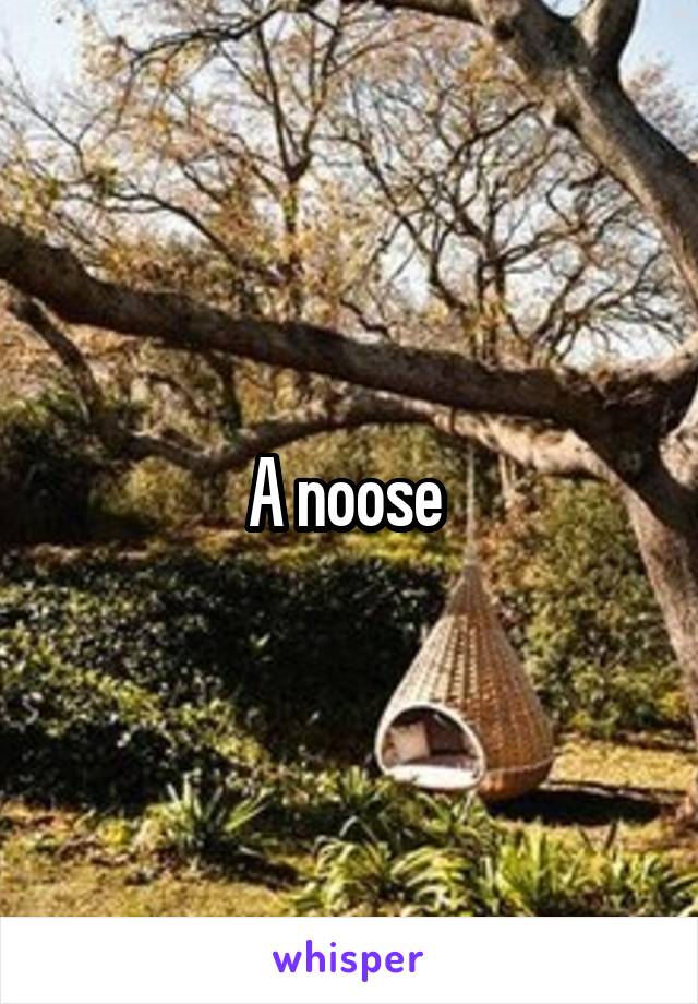 A noose 