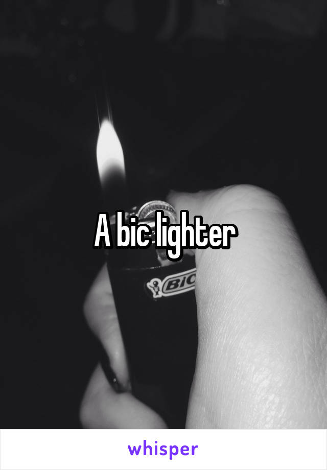 A bic lighter