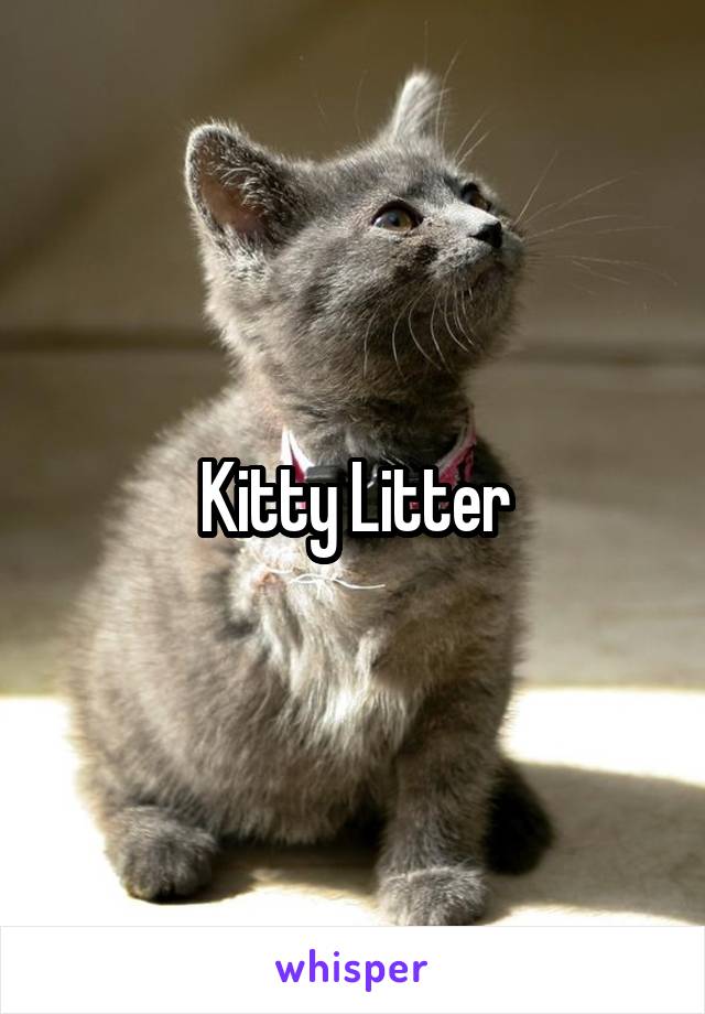 Kitty Litter