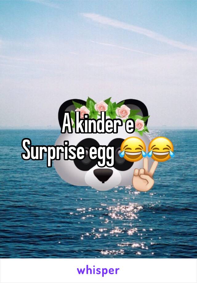 A kinder e
Surprise egg 😂😂