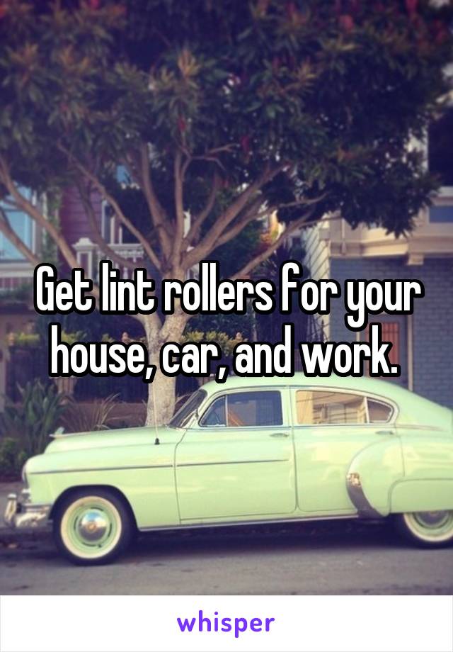 Get lint rollers for your house, car, and work. 