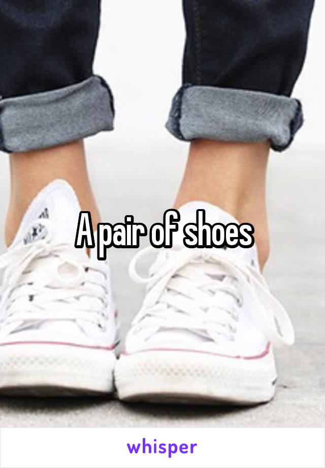 A pair of shoes