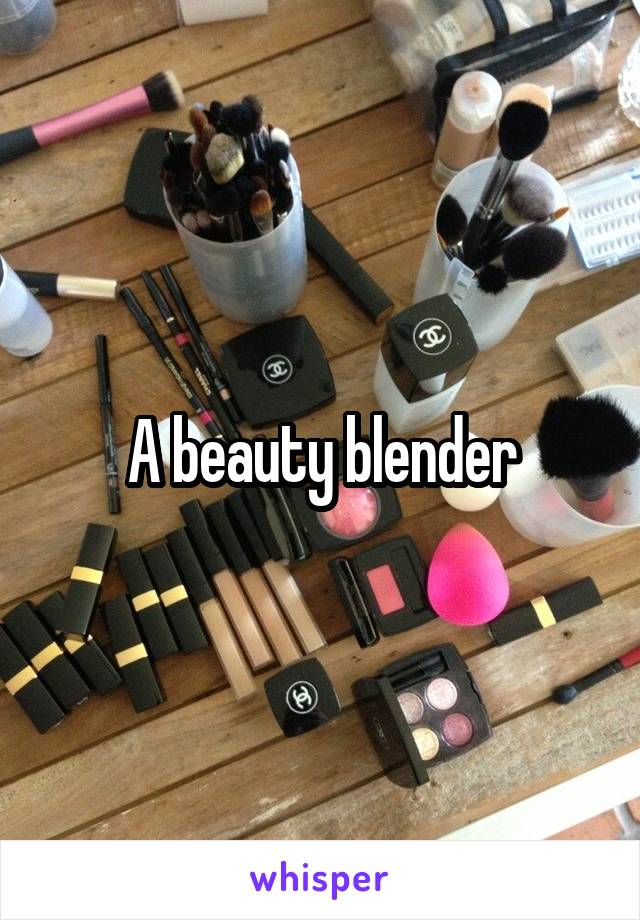 A beauty blender