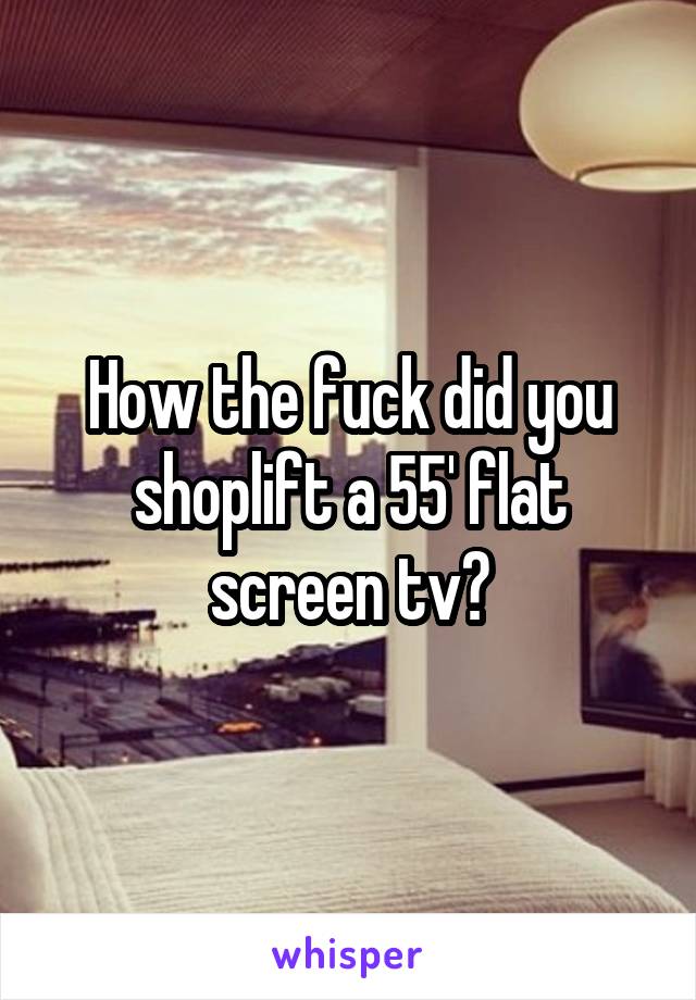 How the fuck did you shoplift a 55' flat screen tv?