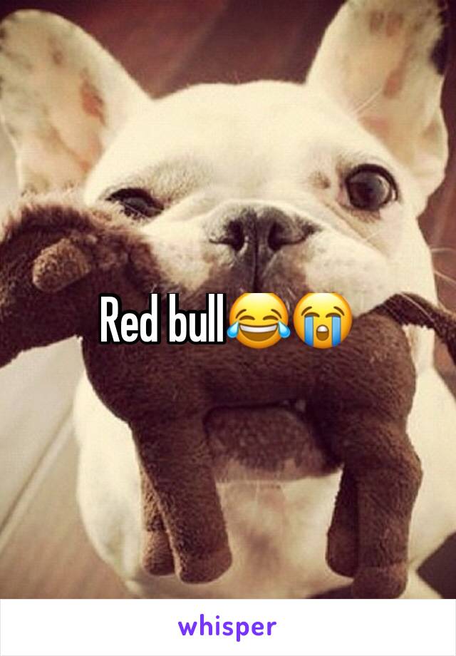 Red bull😂😭