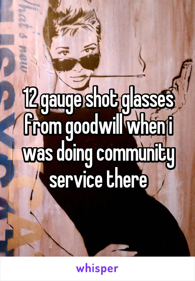 12 gauge shot glasses from goodwill when i was doing community service there