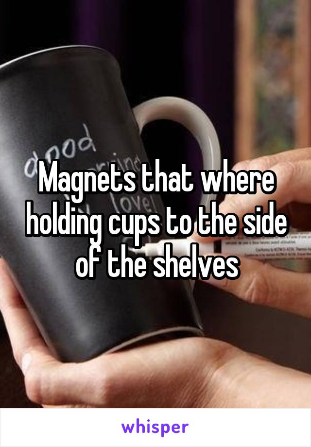 Magnets that where holding cups to the side of the shelves