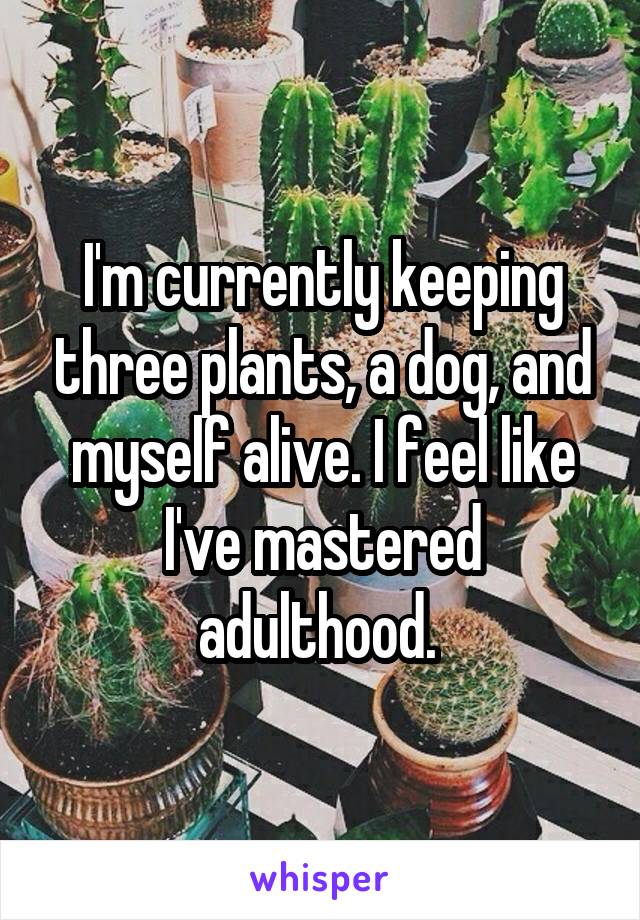 I'm currently keeping three plants, a dog, and myself alive. I feel like I've mastered adulthood. 