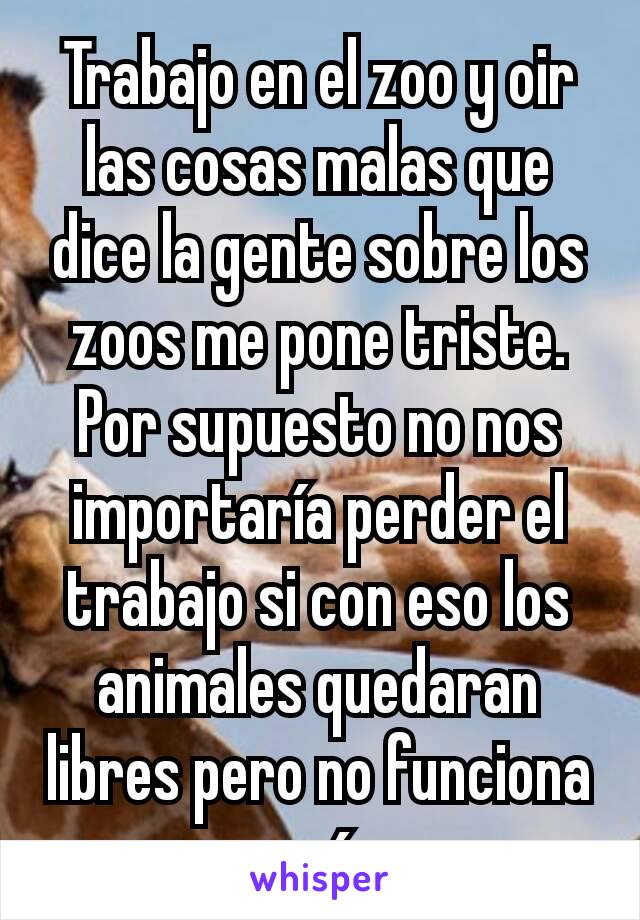 Trabajo en el zoo y oir las cosas malas que dice la gente sobre los zoos me pone triste. Por supuesto no nos importaría perder el trabajo si con eso los animales quedaran libres pero no funciona así.