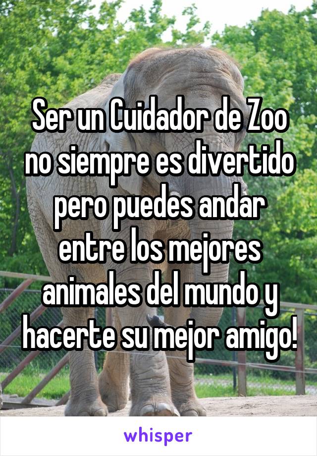 Ser un Cuidador de Zoo no siempre es divertido pero puedes andar entre los mejores animales del mundo y hacerte su mejor amigo!