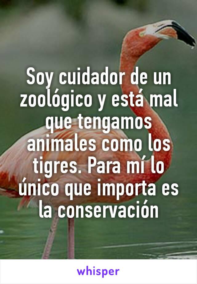 Soy cuidador de un zoológico y está mal que tengamos animales como los tigres. Para mí lo único que importa es la conservación