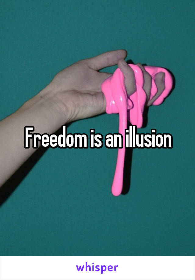 Freedom is an illusion