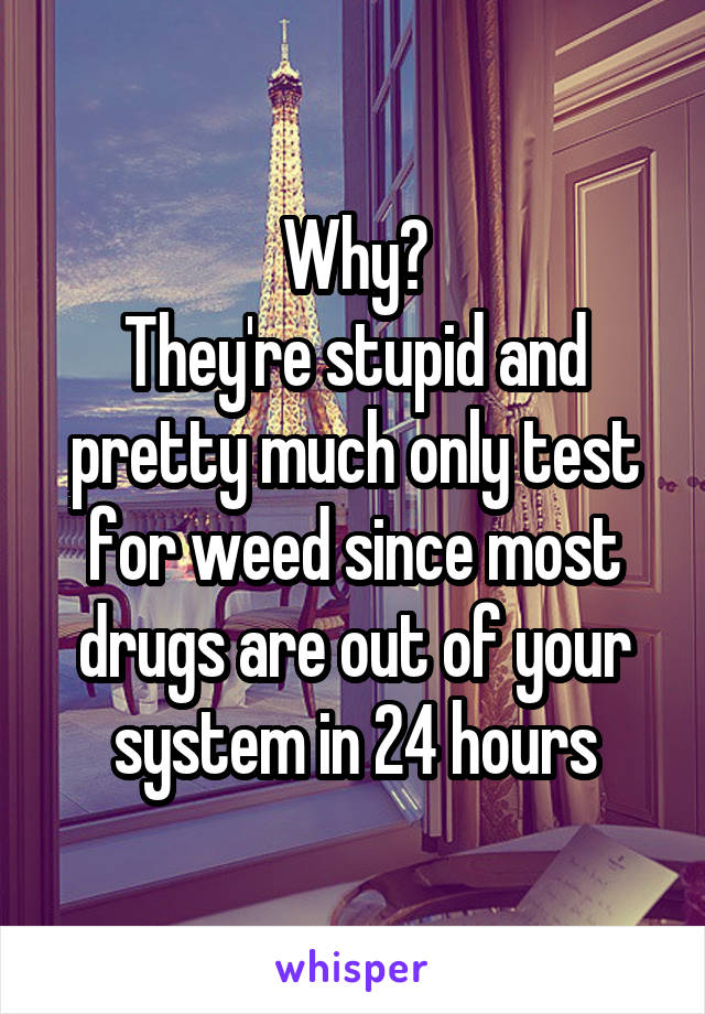 Why?
They're stupid and pretty much only test for weed since most drugs are out of your system in 24 hours