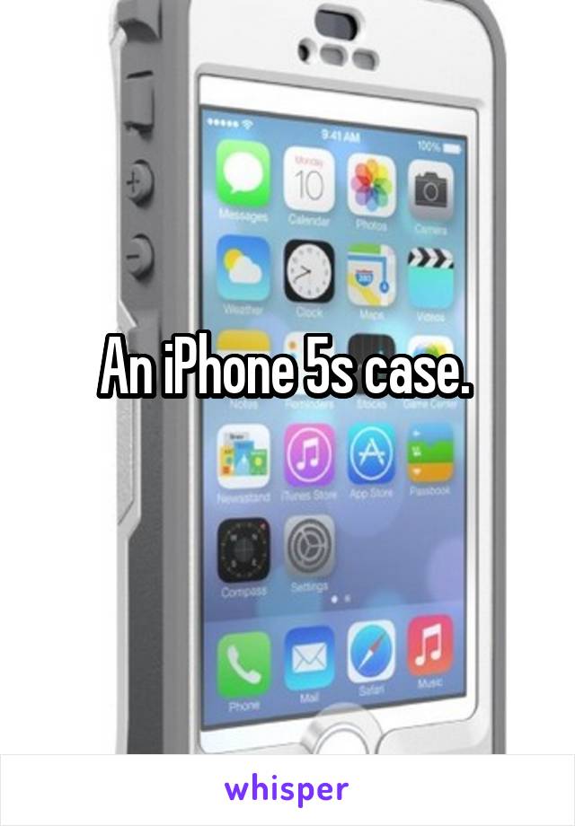 An iPhone 5s case. 
