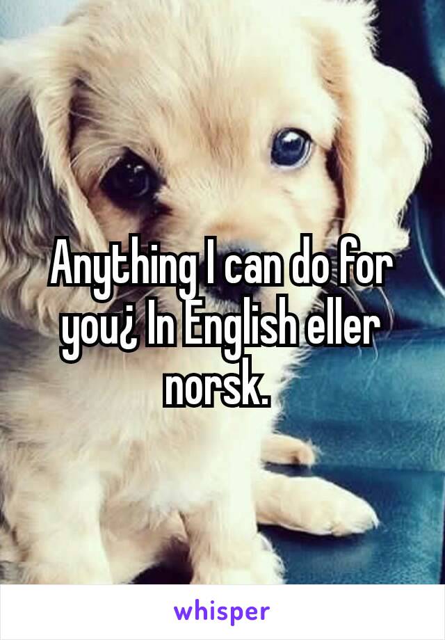 Anything I can do for you¿ In English eller norsk. 