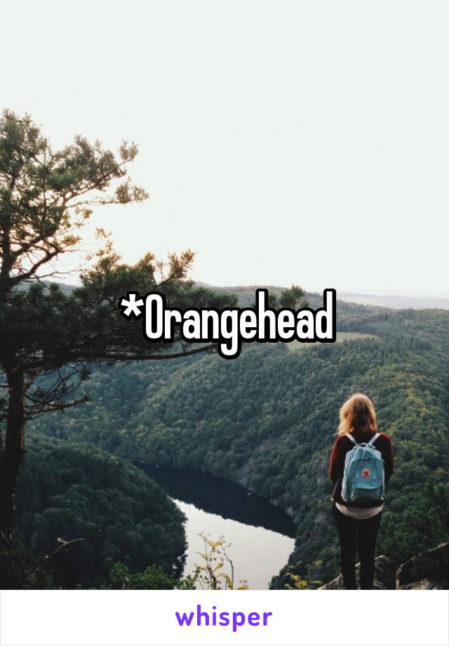 *Orangehead