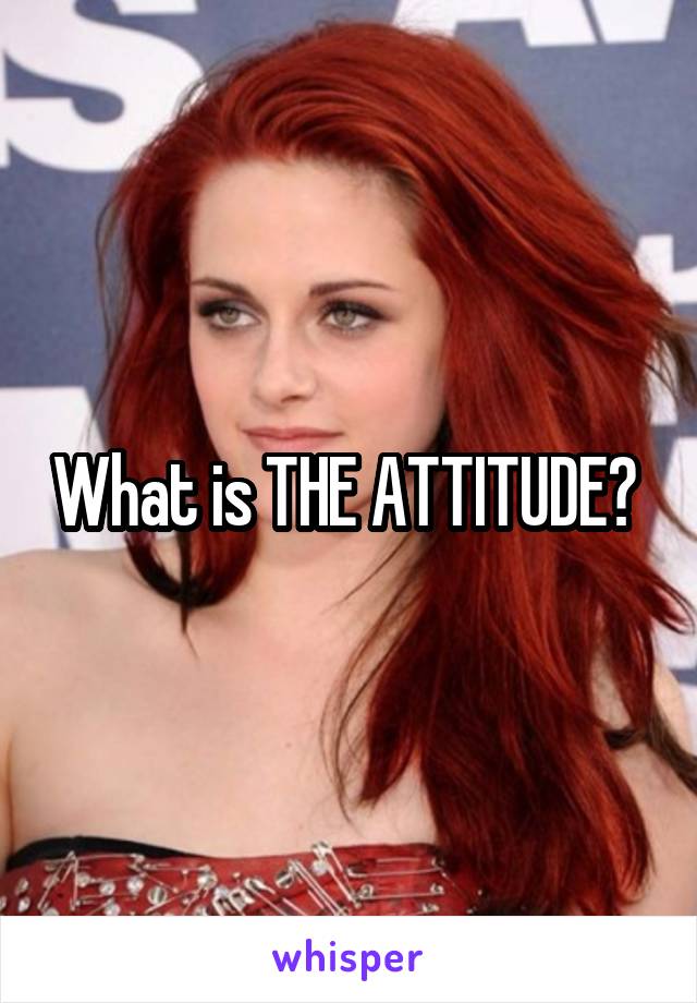 What is THE ATTITUDE? 