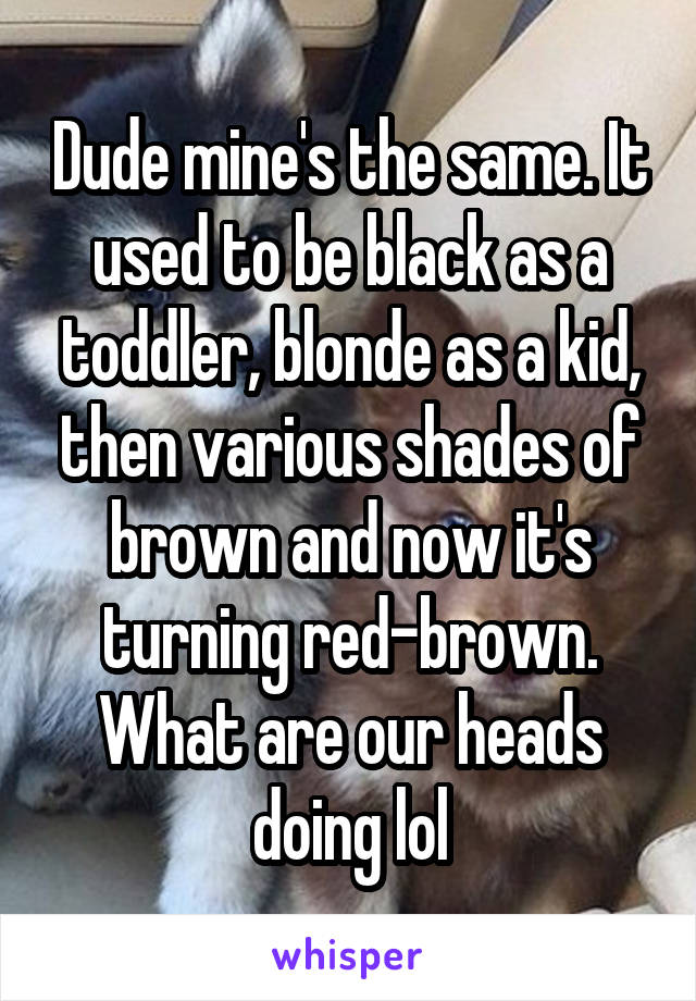 Dude mine's the same. It used to be black as a toddler, blonde as a kid, then various shades of brown and now it's turning red-brown. What are our heads doing lol