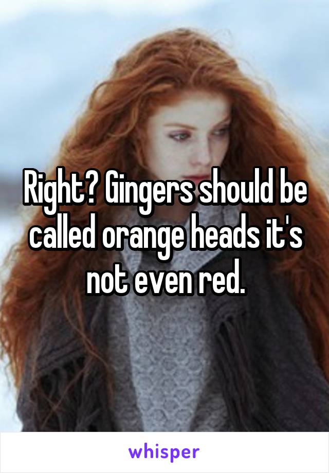 Right? Gingers should be called orange heads it's not even red.