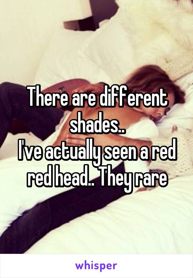 There are different shades..
I've actually seen a red red head.. They rare