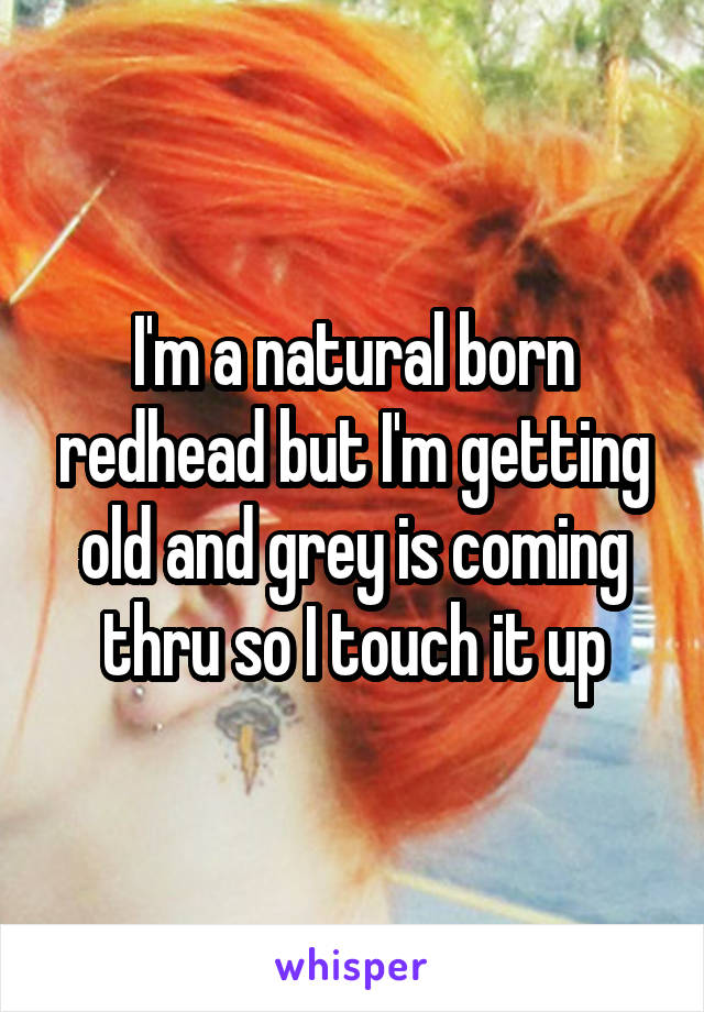 I'm a natural born redhead but I'm getting old and grey is coming thru so I touch it up