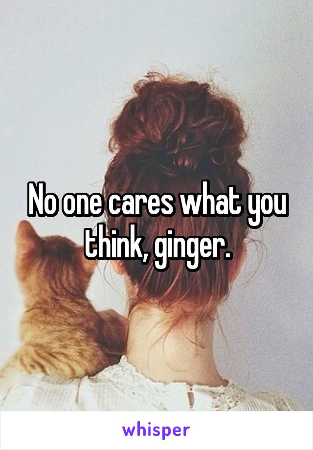 No one cares what you think, ginger.