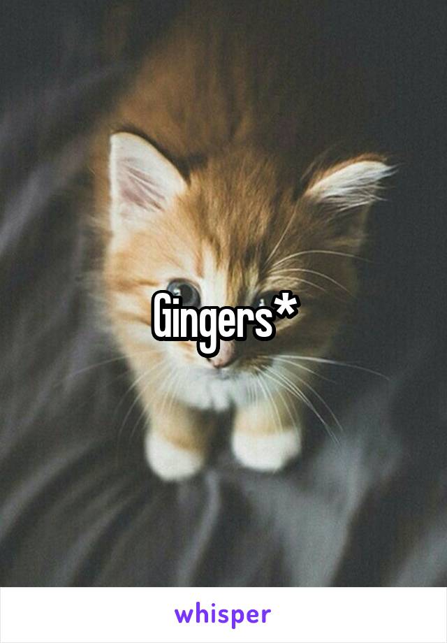 Gingers*