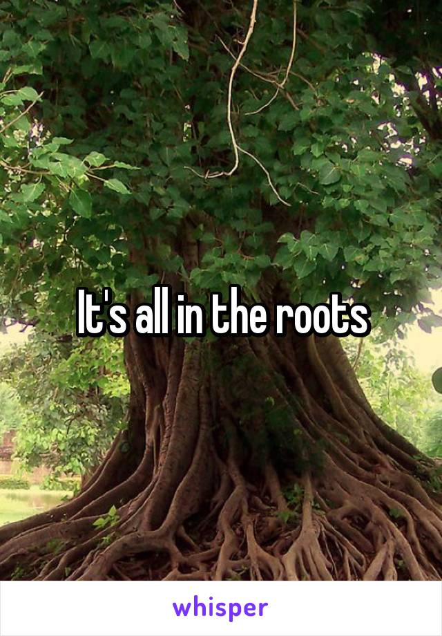 It's all in the roots