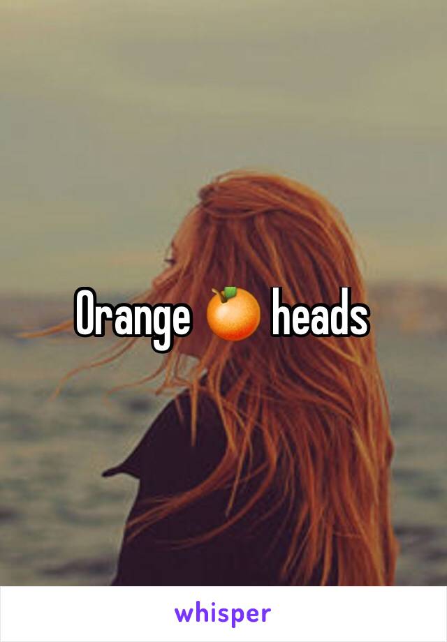 Orange 🍊 heads 