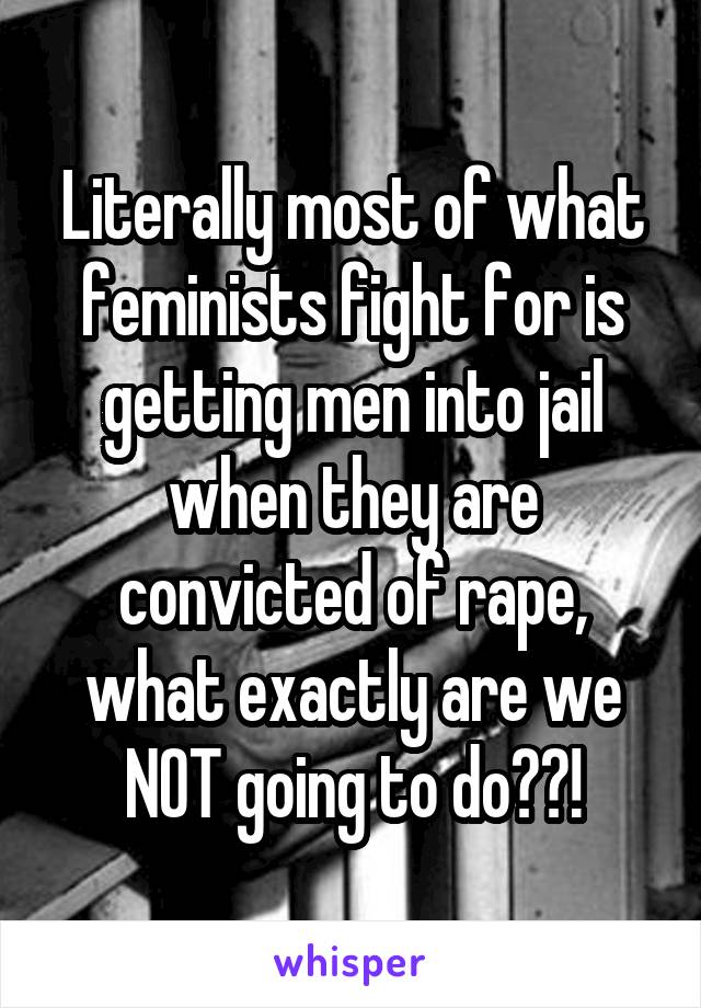 Literally most of what feminists fight for is getting men into jail when they are convicted of rape, what exactly are we NOT going to do??!