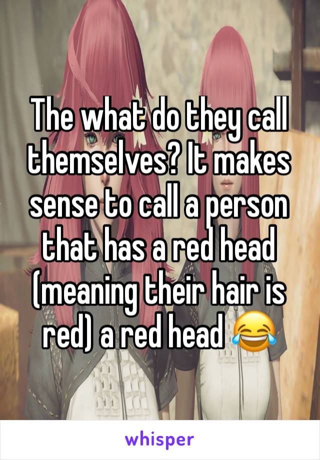 The what do they call themselves? It makes sense to call a person that has a red head (meaning their hair is red) a red head 😂