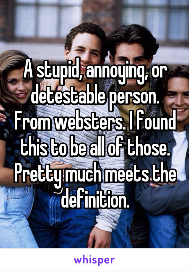 A stupid, annoying, or detestable person. From websters. I found this to be all of those. Pretty much meets the definition.