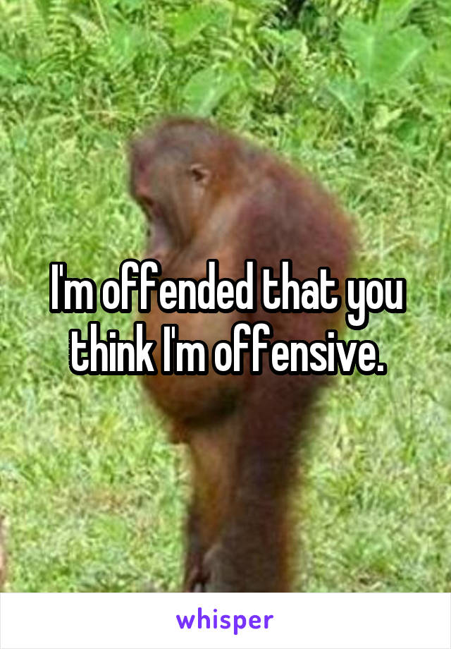 I'm offended that you think I'm offensive.