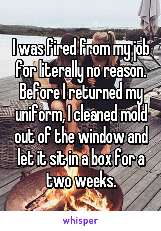 I was fired from my job for literally no reason.
Before I returned my uniform, I cleaned mold out of the window and let it sit in a box for a two weeks.