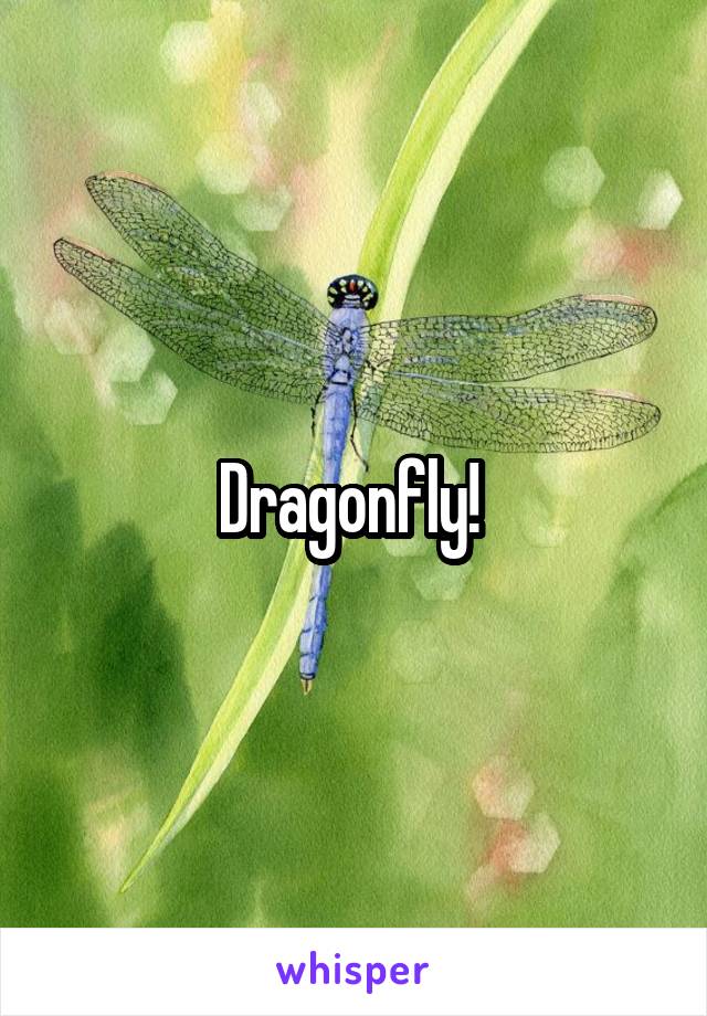 Dragonfly! 