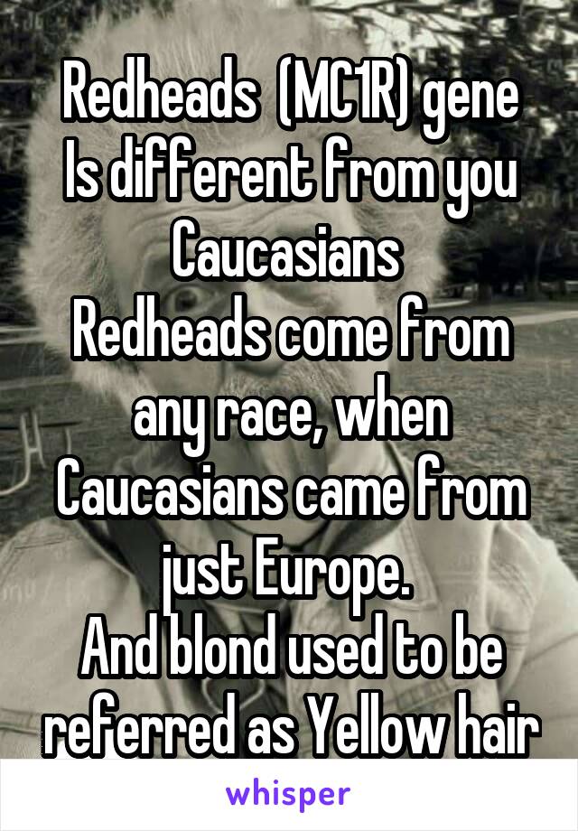 Redheads  (MC1R) gene
Is different from you Caucasians 
Redheads come from any race, when Caucasians came from just Europe. 
And blond used to be referred as Yellow hair