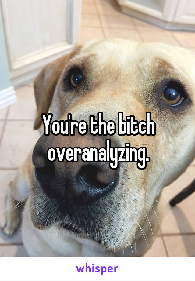 You're the bitch overanalyzing.