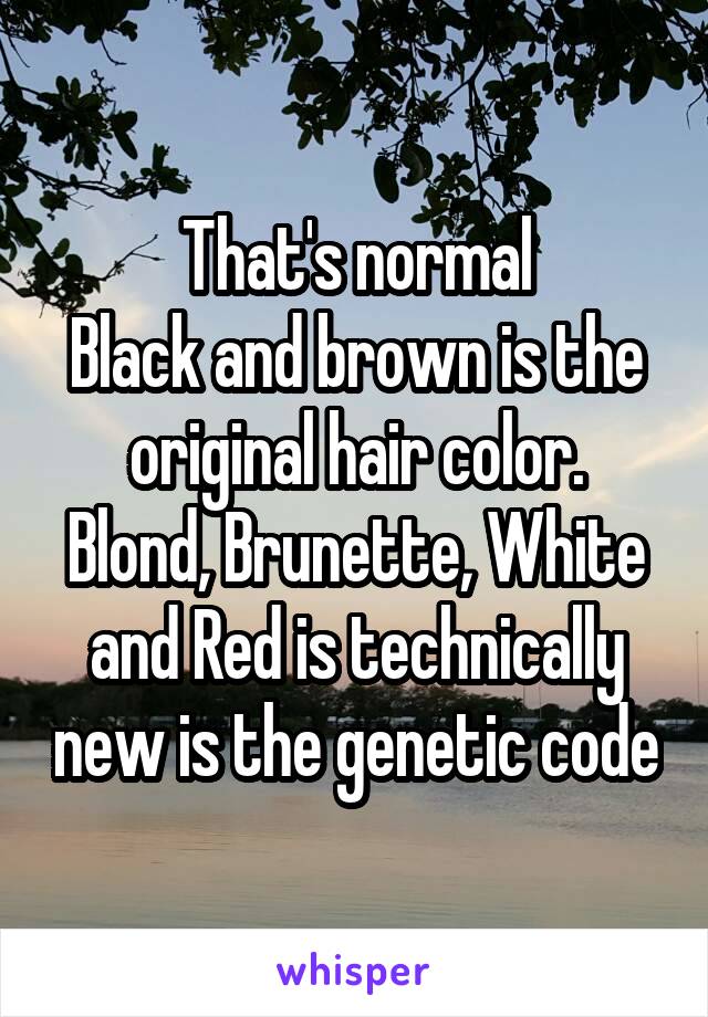 That's normal
Black and brown is the original hair color.
Blond, Brunette, White and Red is technically new is the genetic code