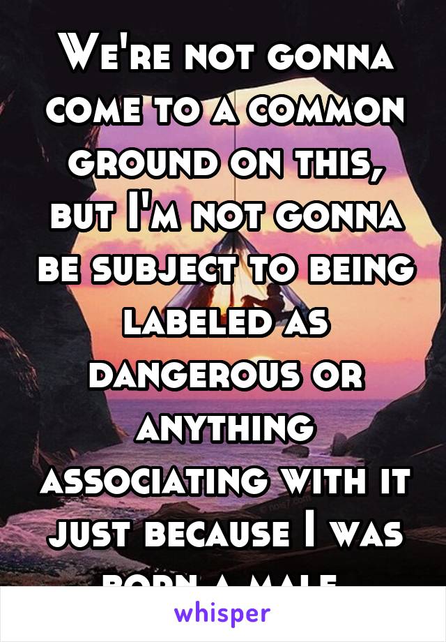 We're not gonna come to a common ground on this, but I'm not gonna be subject to being labeled as dangerous or anything associating with it just because I was born a male.