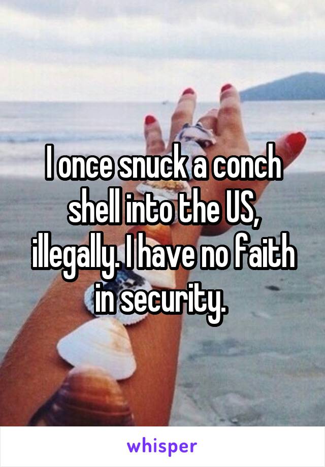 I once snuck a conch shell into the US, illegally. I have no faith in security. 