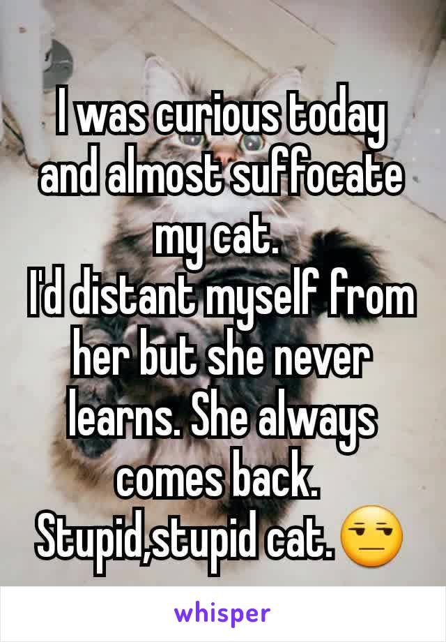 I was curious today and almost suffocate my cat. 
I'd distant myself from her but she never learns. She always comes back. 
Stupid,stupid cat.😒