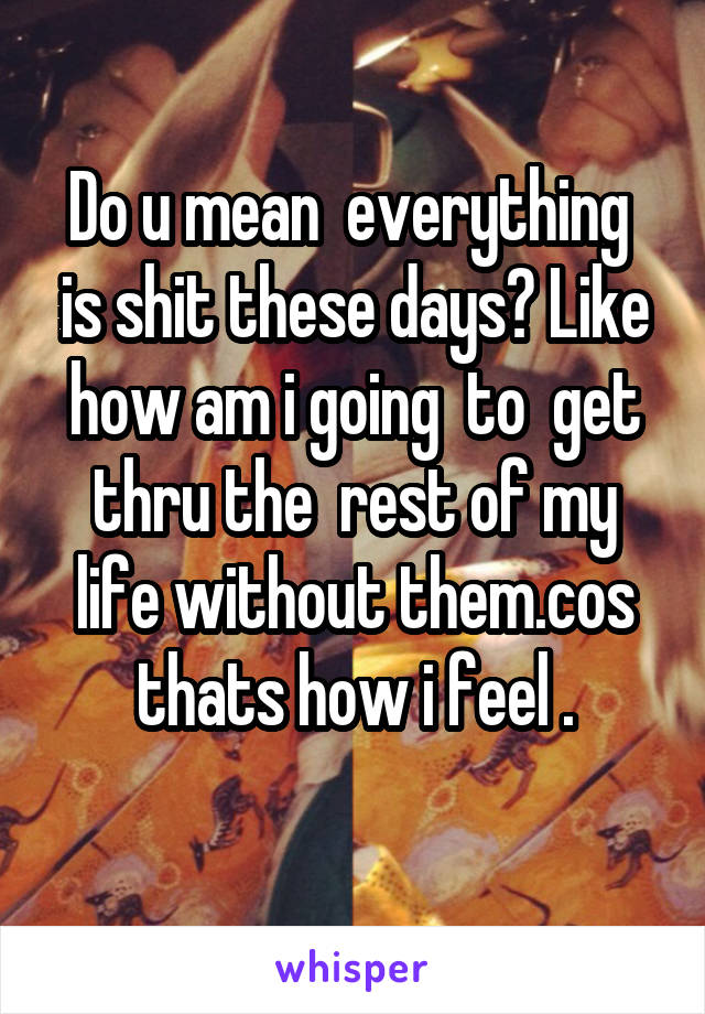 Do u mean  everything  is shit these days? Like how am i going  to  get thru the  rest of my life without them.cos thats how i feel .
