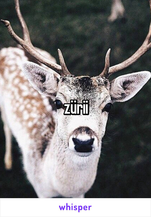 zürii