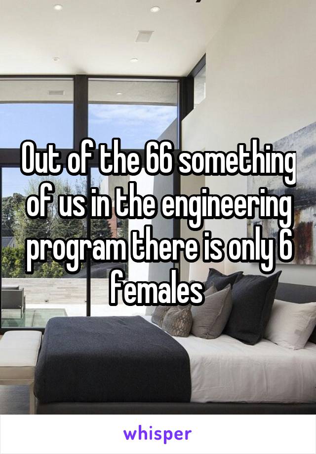 Out of the 66 something of us in the engineering program there is only 6 females 