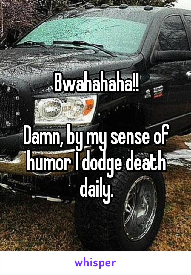 Bwahahaha!!

Damn, by my sense of humor I dodge death daily.