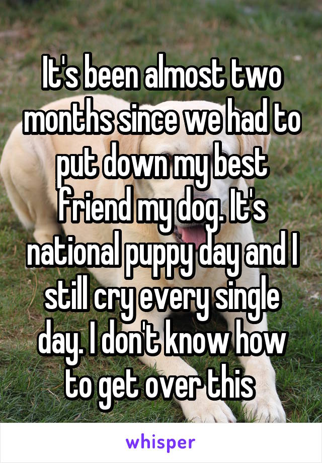 It's been almost two months since we had to put down my best friend my dog. It's national puppy day and I still cry every single day. I don't know how to get over this 