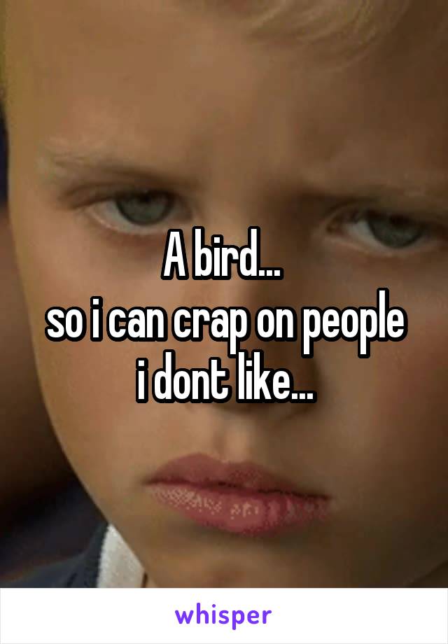 A bird... 
so i can crap on people i dont like...