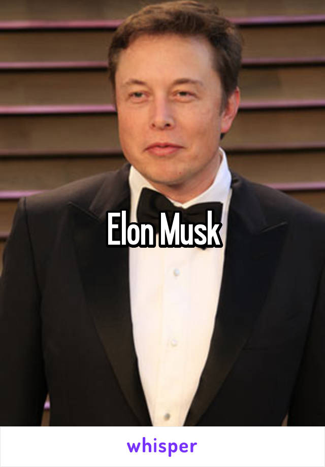 Elon Musk