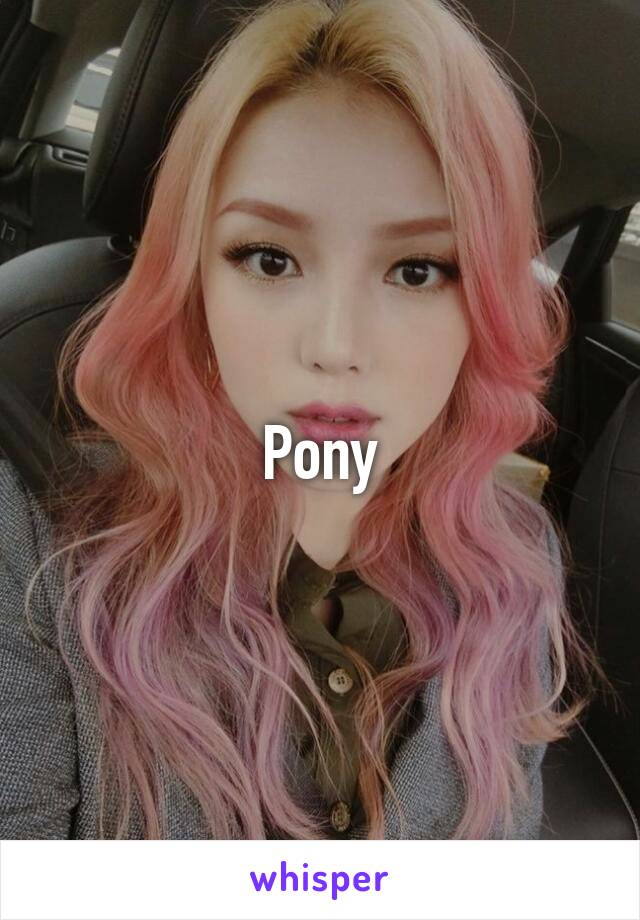 Pony