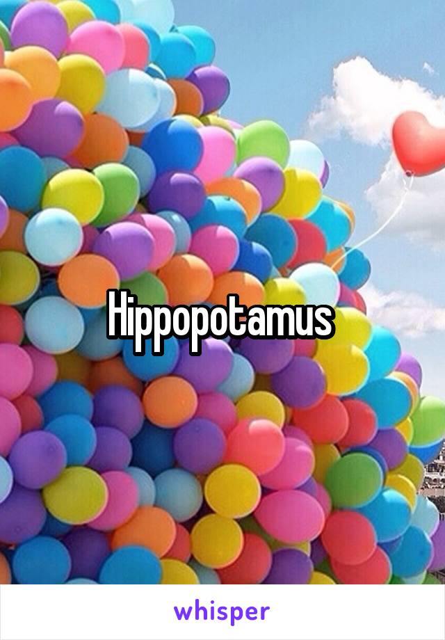 Hippopotamus 